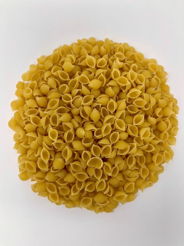 Conchiglie blé blanc bio - 1