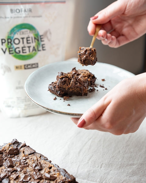 Protéine végétale bio riz brun cacao - 2